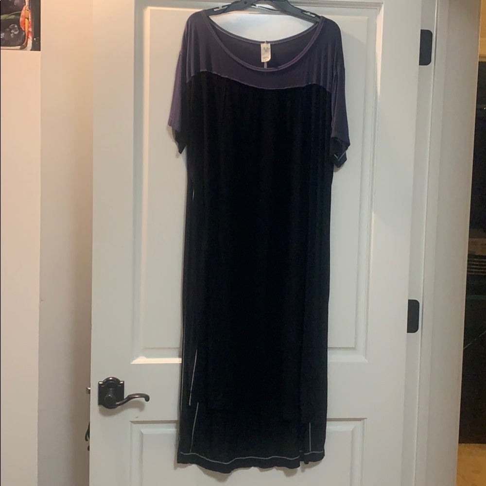 Free people tunic